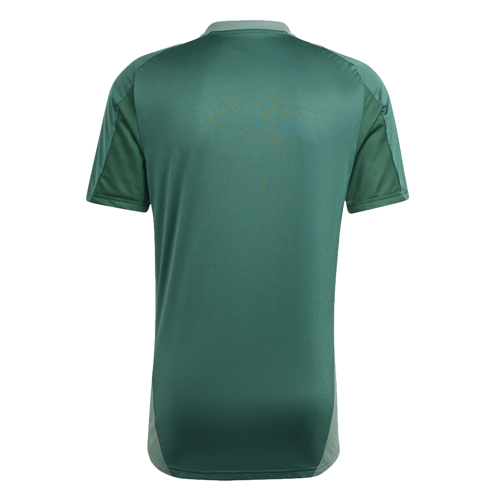 CAMISETA ENTRENAMIENTO ADULTO 24/25