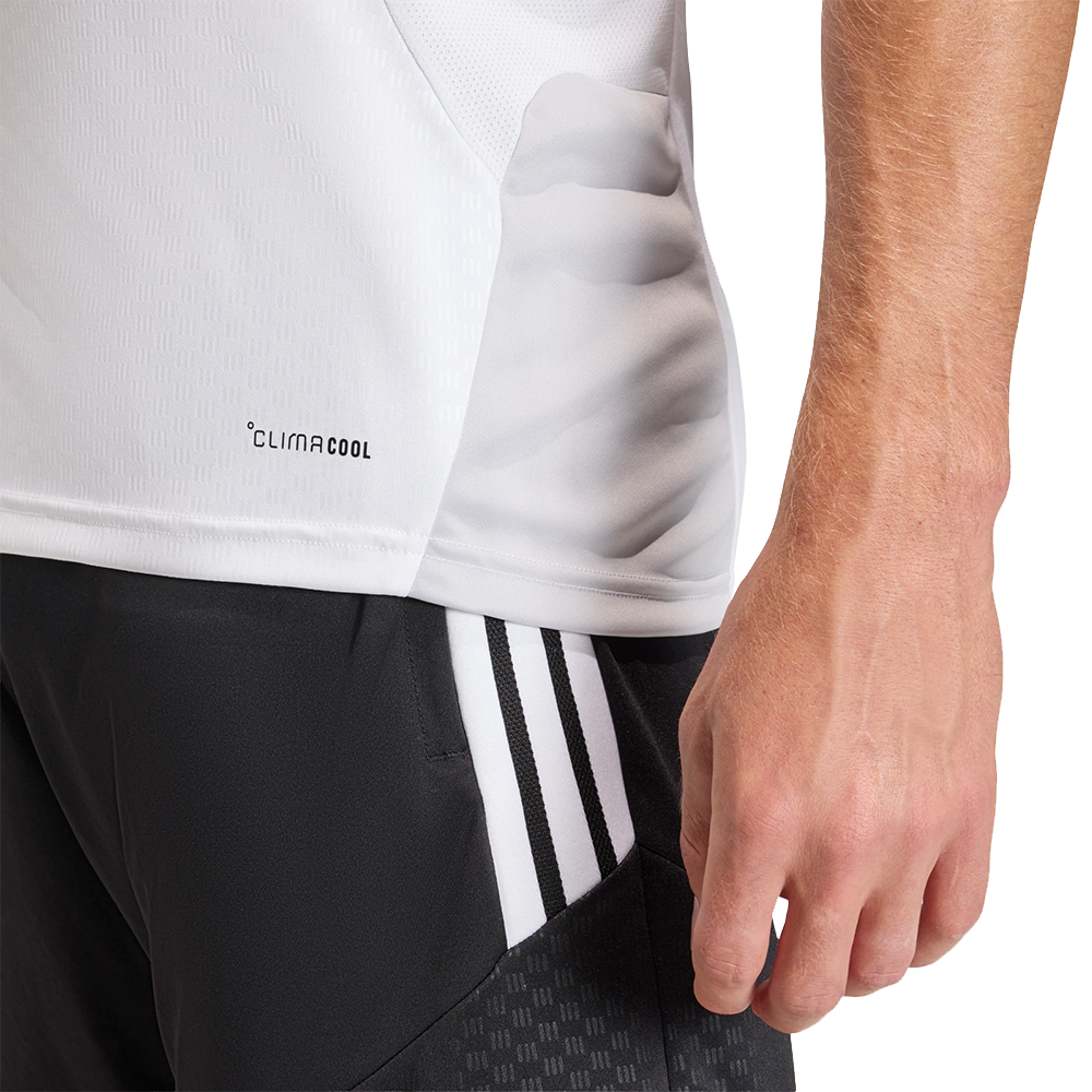 CAMISETA BANQUILLO JUGADOR ADULTO 26/27