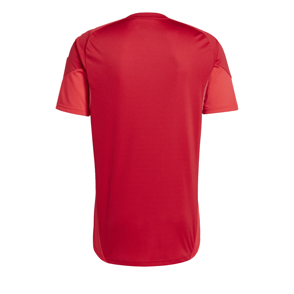 CAMISETA ENTRENAMIENTO ADULTO 25/26