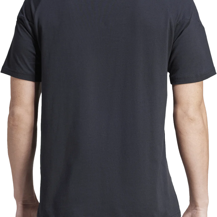 CAMISETA DE VIAJE ADULTO 25/26