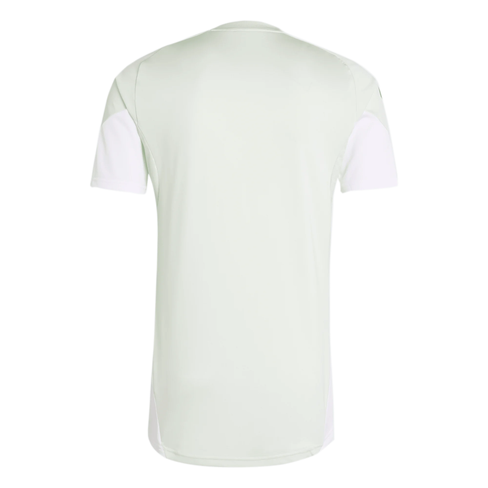 CAMISETA DE BANQUILLO JUNIOR 25/26
