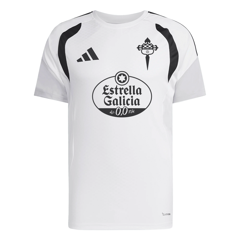 CAMISETA BANQUILLO JUGADOR ADULTO 26/27