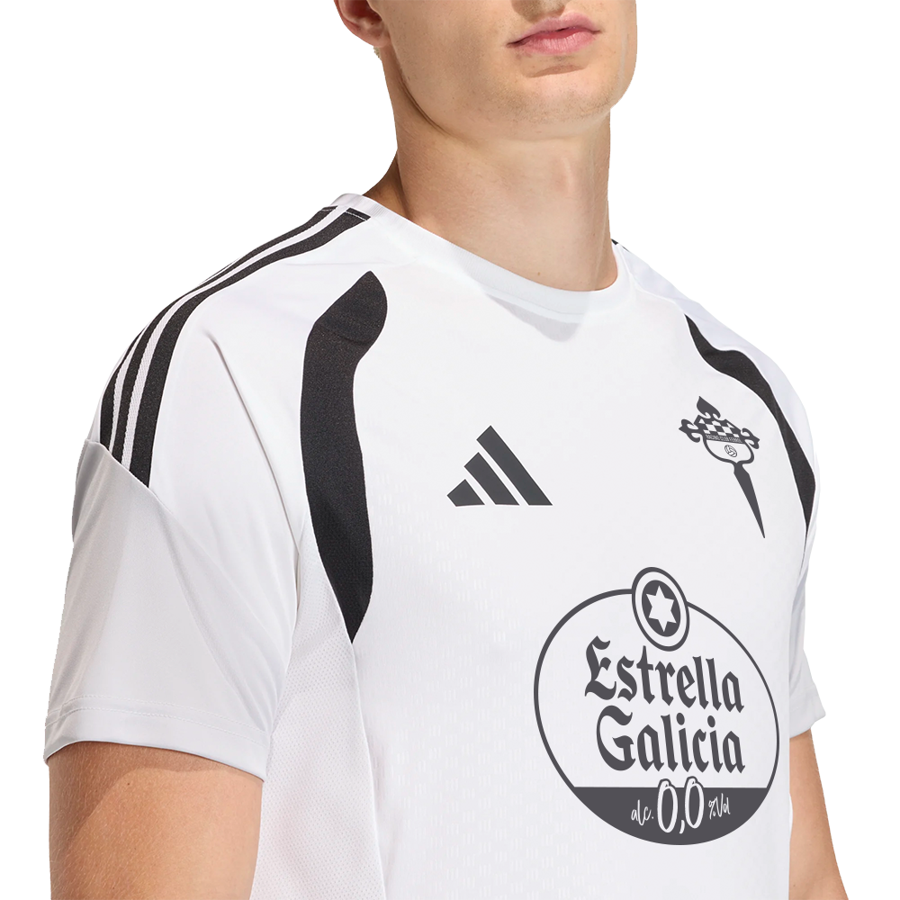 CAMISETA BANQUILLO JUGADOR ADULTO 26/27